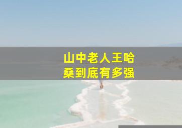 山中老人王哈桑到底有多强