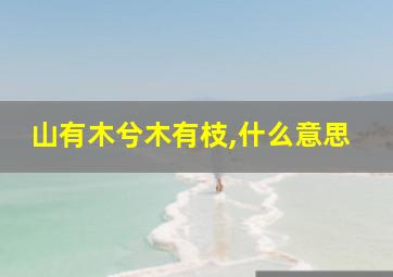 山有木兮木有枝,什么意思