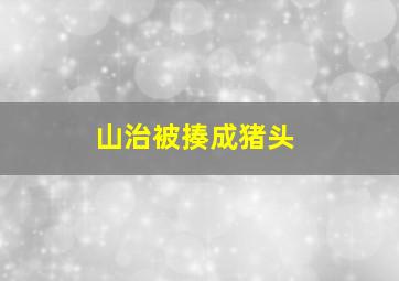 山治被揍成猪头