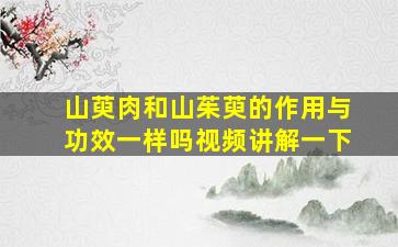 山萸肉和山茱萸的作用与功效一样吗视频讲解一下