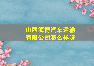 山西海博汽车运输有限公司怎么样呀