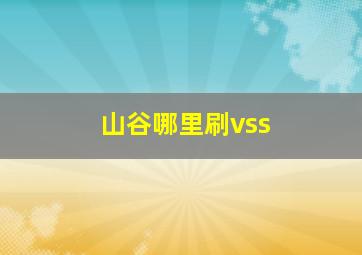 山谷哪里刷vss