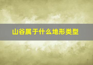 山谷属于什么地形类型