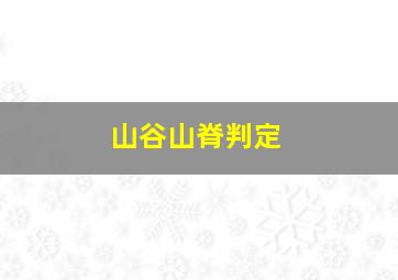 山谷山脊判定