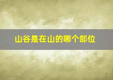 山谷是在山的哪个部位