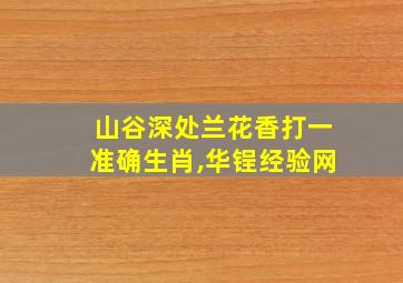 山谷深处兰花香打一准确生肖,华锃经验网