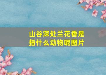 山谷深处兰花香是指什么动物呢图片