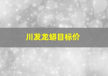 川发龙蟒目标价