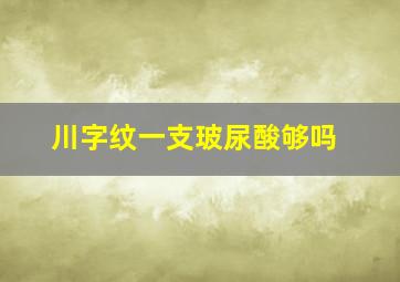 川字纹一支玻尿酸够吗