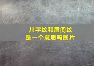 川字纹和眉间纹是一个意思吗图片