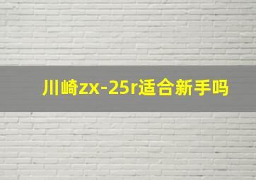 川崎zx-25r适合新手吗