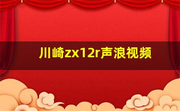 川崎zx12r声浪视频