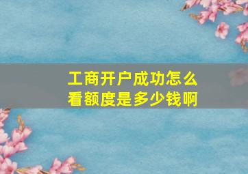 工商开户成功怎么看额度是多少钱啊