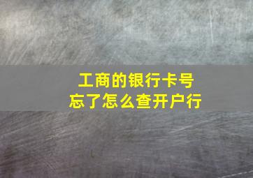 工商的银行卡号忘了怎么查开户行