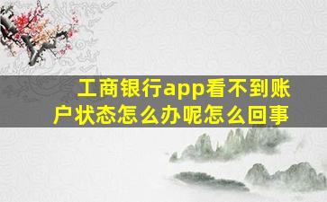 工商银行app看不到账户状态怎么办呢怎么回事