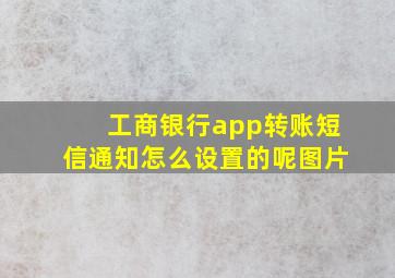 工商银行app转账短信通知怎么设置的呢图片