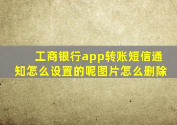 工商银行app转账短信通知怎么设置的呢图片怎么删除