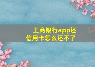 工商银行app还信用卡怎么还不了