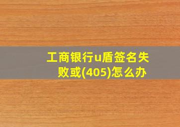 工商银行u盾签名失败或(405)怎么办