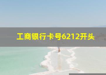 工商银行卡号6212开头