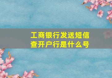 工商银行发送短信查开户行是什么号