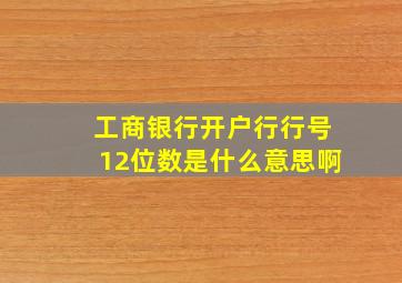 工商银行开户行行号12位数是什么意思啊