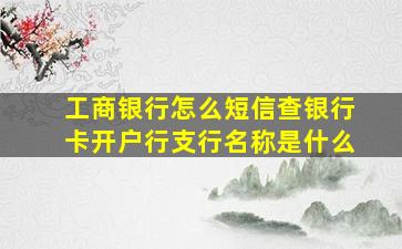 工商银行怎么短信查银行卡开户行支行名称是什么