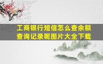 工商银行短信怎么查余额查询记录呢图片大全下载