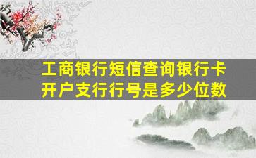 工商银行短信查询银行卡开户支行行号是多少位数