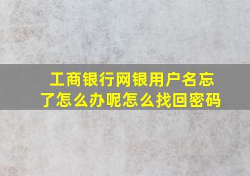 工商银行网银用户名忘了怎么办呢怎么找回密码