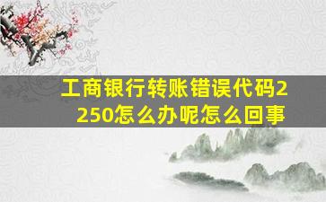 工商银行转账错误代码2250怎么办呢怎么回事