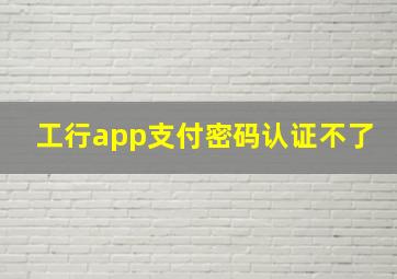 工行app支付密码认证不了