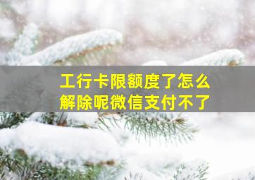 工行卡限额度了怎么解除呢微信支付不了