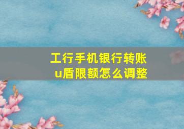 工行手机银行转账u盾限额怎么调整