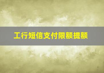 工行短信支付限额提额