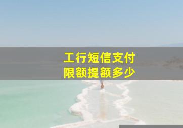 工行短信支付限额提额多少