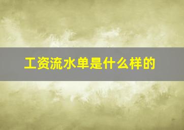 工资流水单是什么样的