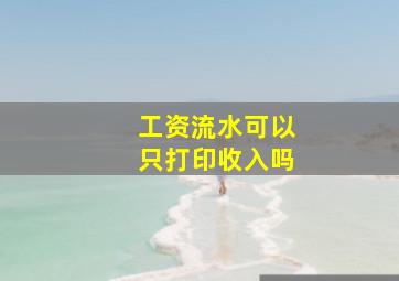 工资流水可以只打印收入吗