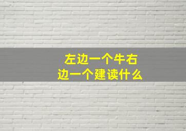 左边一个牛右边一个建读什么