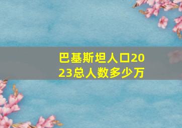 巴基斯坦人口2023总人数多少万