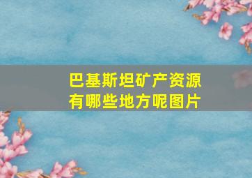 巴基斯坦矿产资源有哪些地方呢图片