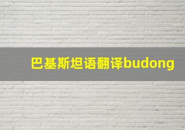 巴基斯坦语翻译budong