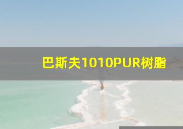 巴斯夫1010PUR树脂