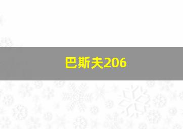 巴斯夫206