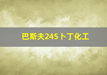 巴斯夫245卜丁化工