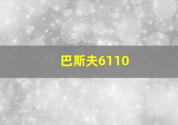 巴斯夫6110