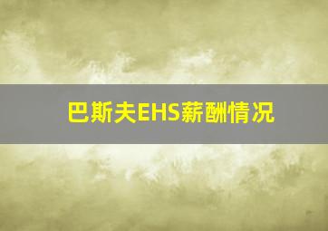 巴斯夫EHS薪酬情况