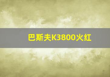 巴斯夫K3800火红