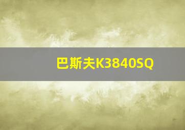 巴斯夫K3840SQ