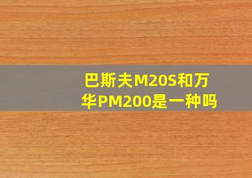 巴斯夫M20S和万华PM200是一种吗